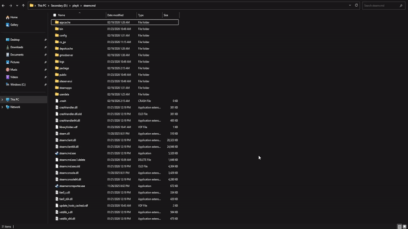 Open SteamCMD Console